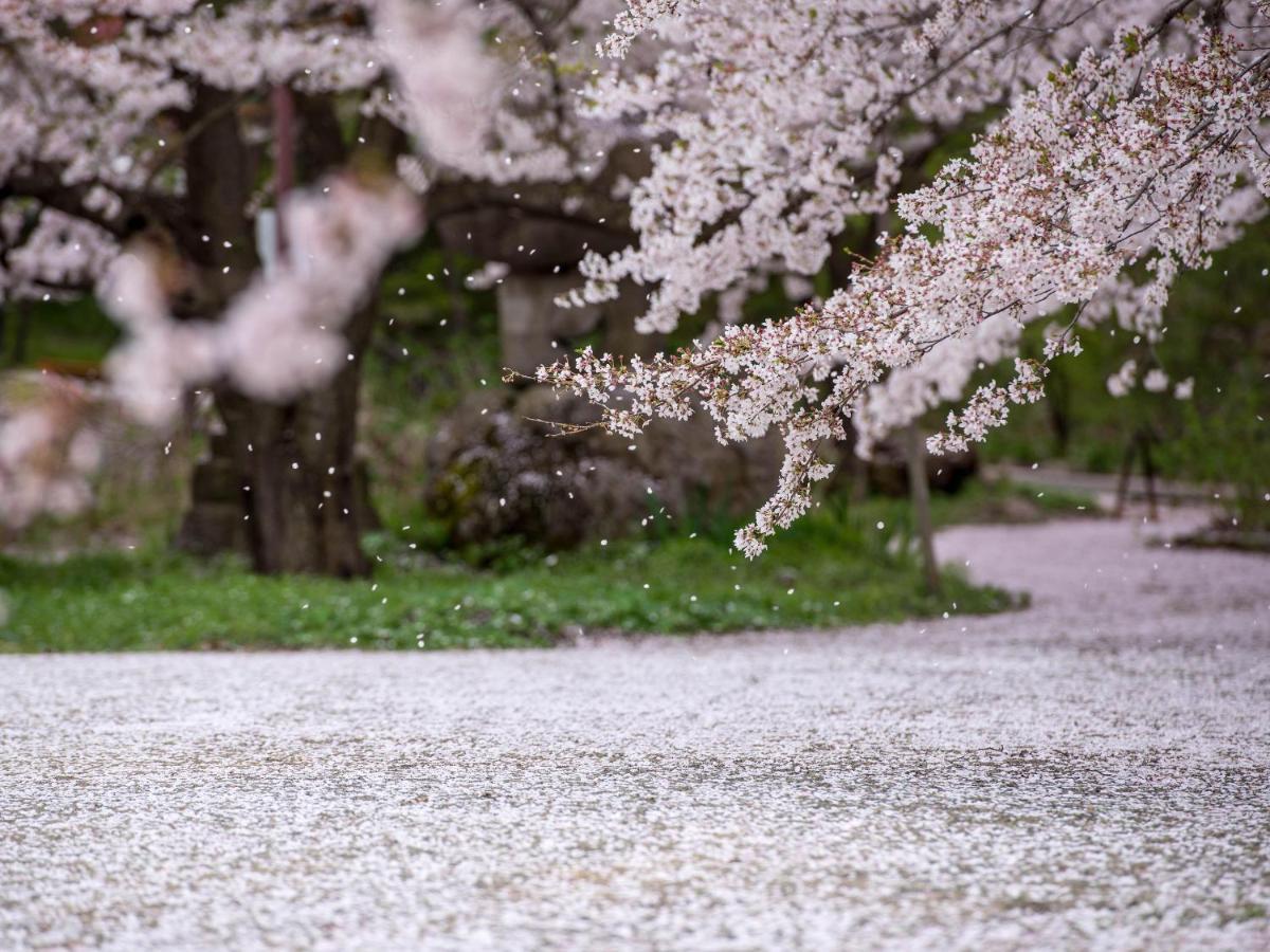 Hotel Tsubakino Яманути Экстерьер фото