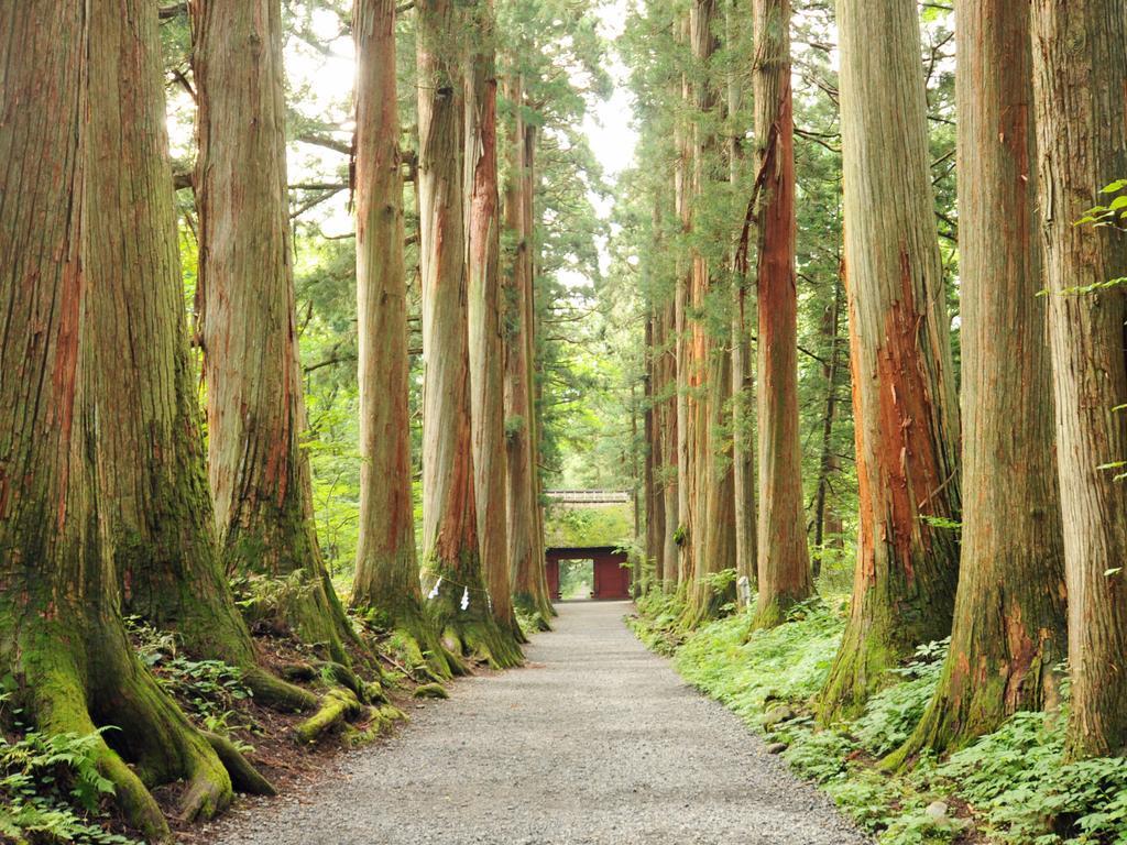 Hotel Tsubakino Яманути Экстерьер фото