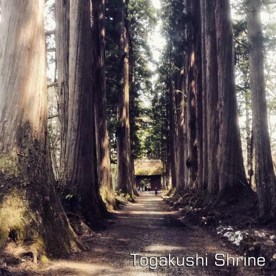 Hotel Tsubakino Яманути Экстерьер фото