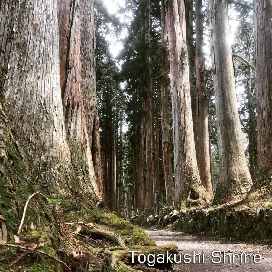 Hotel Tsubakino Яманути Экстерьер фото